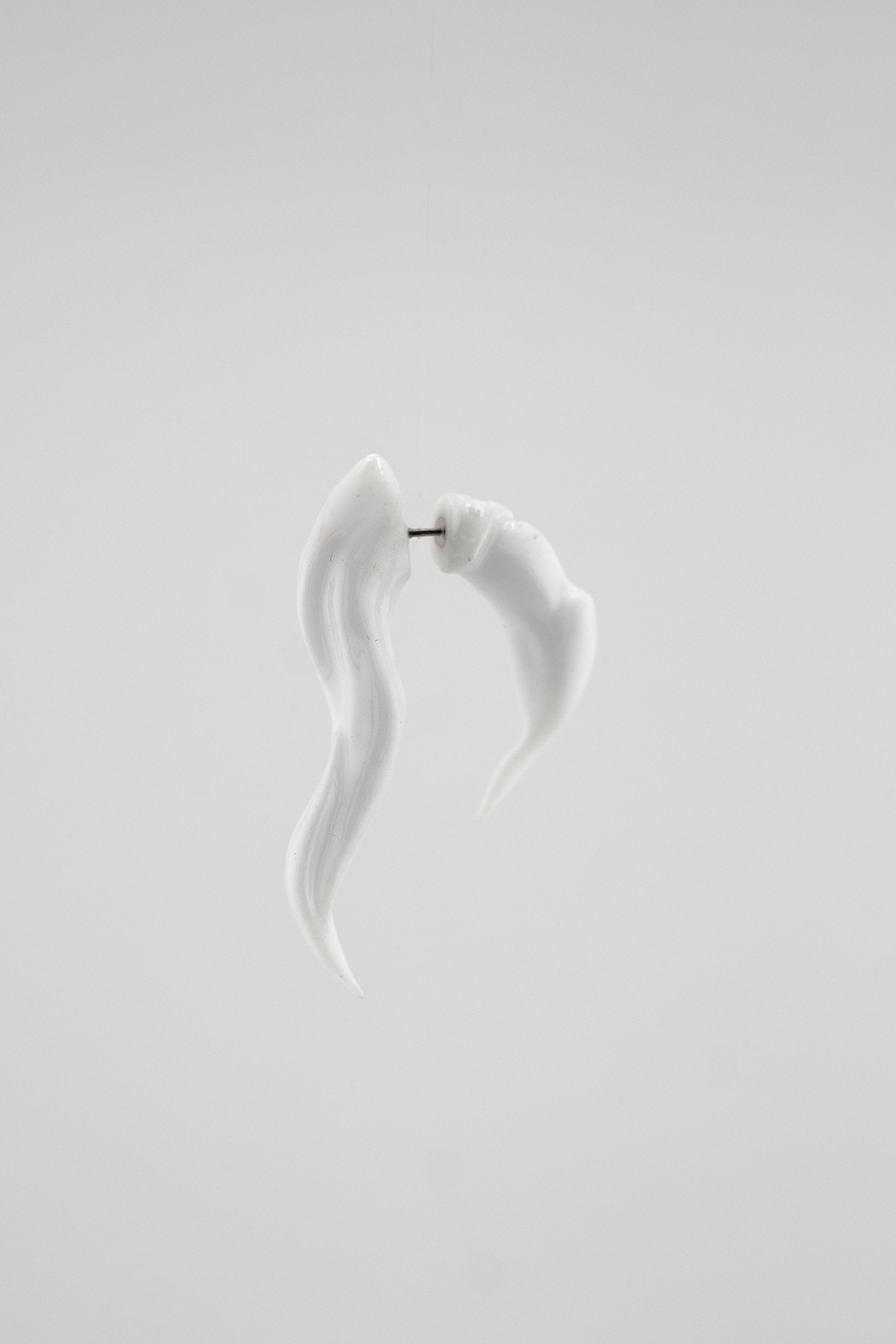 Horn Earrings (pair)